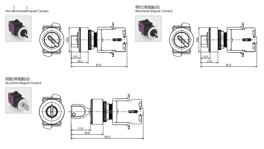 SD30-4110-2 Non-Illuminated(Regular Contact)