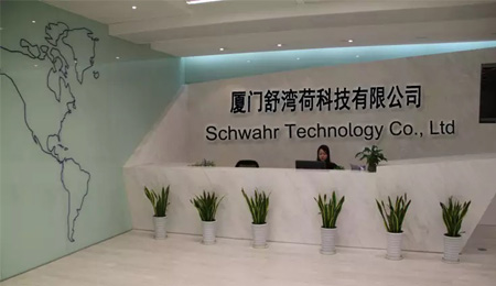 Schwahr Technology: Pioneering Innovation in Advanced Technology Solutions